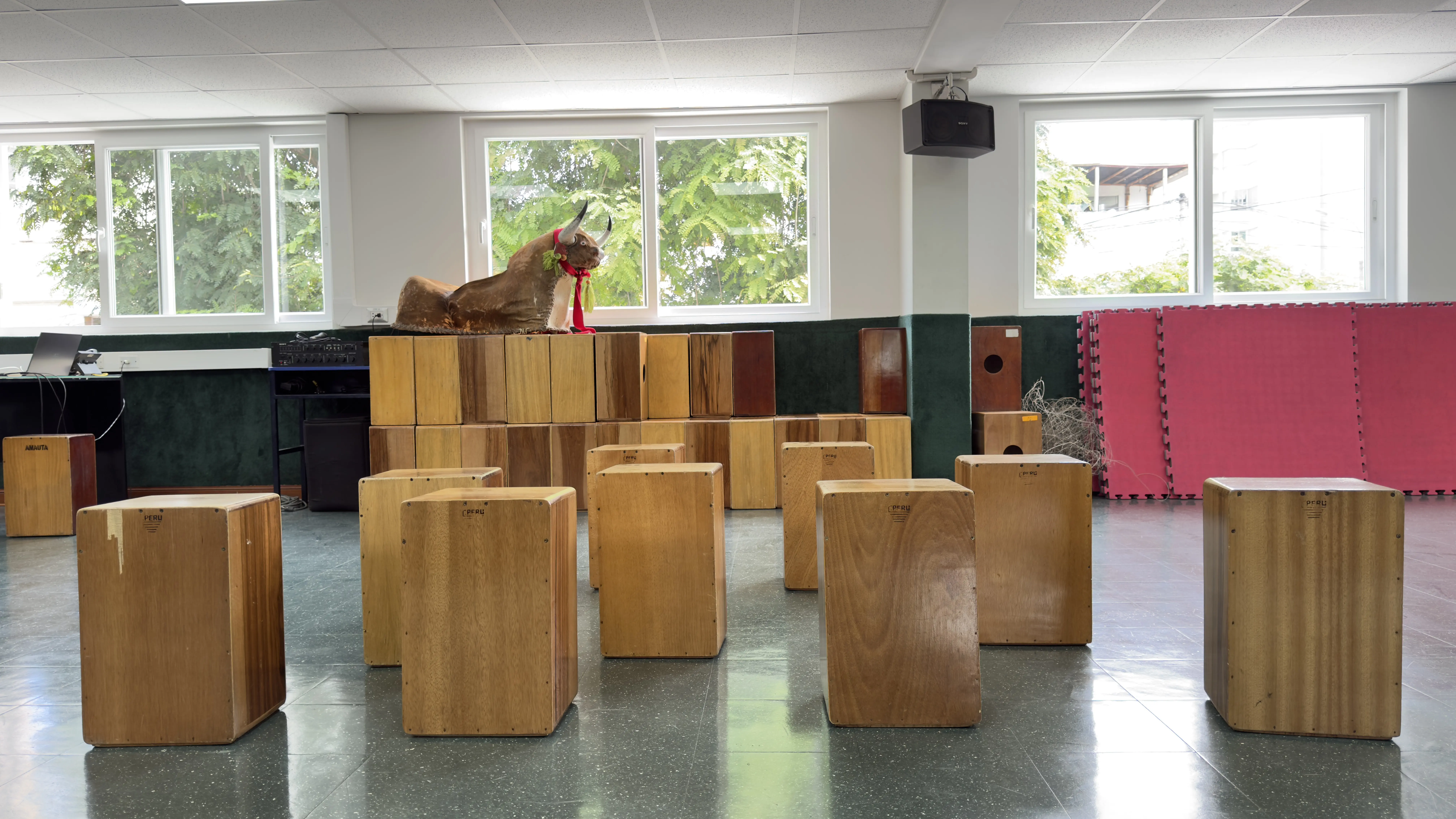 Danza y Cajon