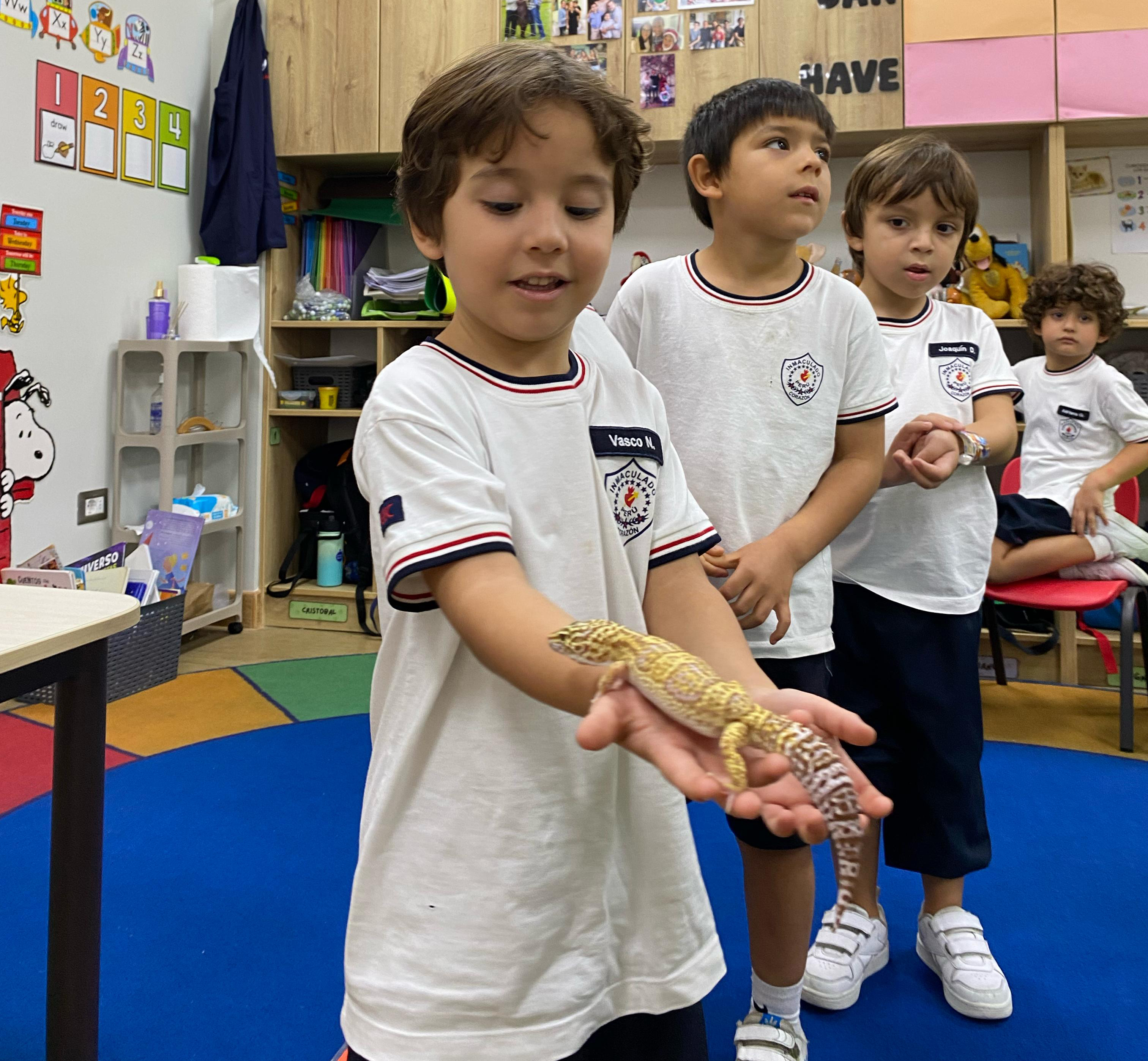 Proyecto: Cuentos que cobran vida